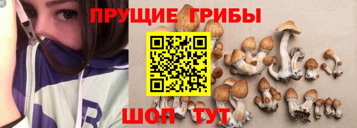 Усинск  Галлюциногенные грибы Psilocybine cubensis  дарнет шоп  Вход с VPN 